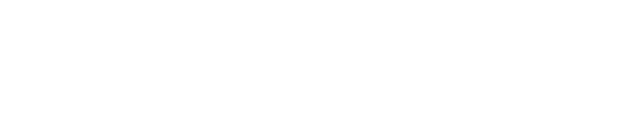 David Demid white logo