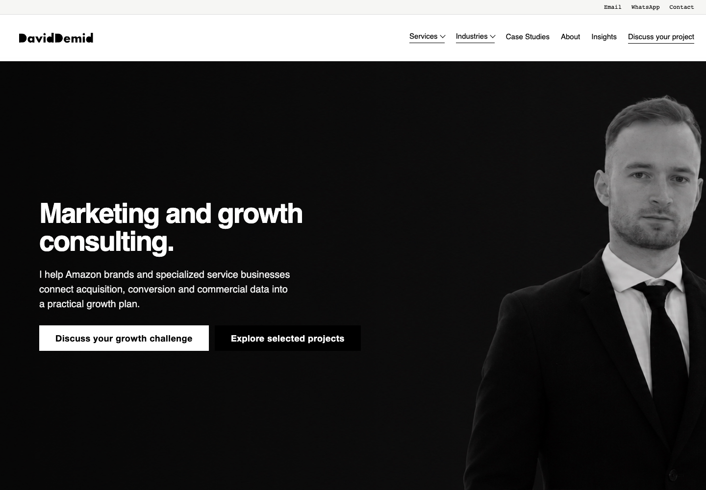 Current DavidDemid.com project homepage with a portrait and growth consulting positioning