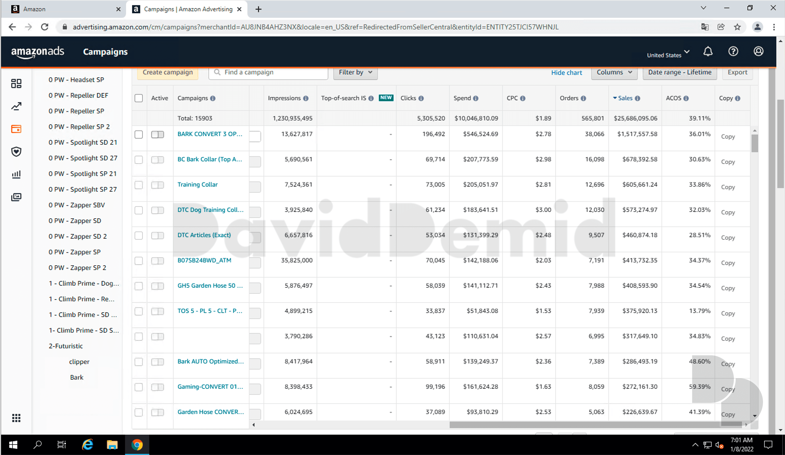 Project 7: Advertising / Lifetime campaign breakdown. Campaign-level detail for the same broader Lifetime report. These totals include periods outside the seller window and potentially outside my involvement.